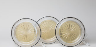 Tecnologia Single Use nel monitoraggio microbiologico attivo