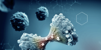 Nanoparticelle magnetiche e robot contro il cancro: ecco il progetto GIULIa