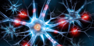 Organi-on-chip per screening farmacologici, i risultati del progetto Diana