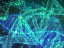 IIT, aptameri di RNA per contrastare le malattie neurodegenerative