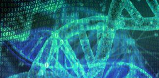 IIT, aptameri di RNA per contrastare le malattie neurodegenerative