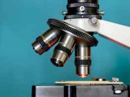 Nuova luce sui meccanismi alla base della sindrome di Smith-Magenis