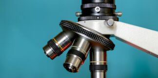Nuova luce sui meccanismi alla base della sindrome di Smith-Magenis