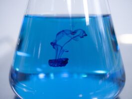 Verso sostanze chimiche più sicure e sostenibili