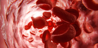 EMA raccomanda la sospensione del farmaco contro l’anemia falciforme Oxbryta