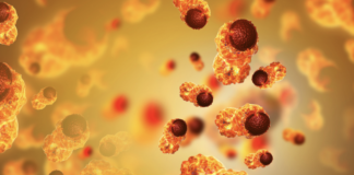 Dal CNR una nuova molecola per inibire l’autofagia cellulare