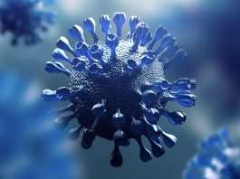 Dall’Università di Bologna un nuovo protocollo per produrre la proteasi 3C-like del virus SARS-CoV-2
