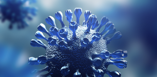 Dall’Università di Bologna un nuovo protocollo per produrre la proteasi 3C-like del virus SARS-CoV-2