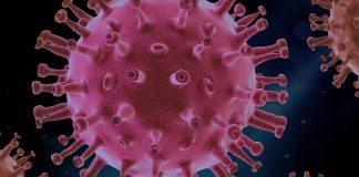 EMA, fine della flessibilità regolatoria per il Covid-19