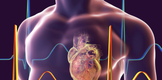 Dal PoliMI il progetto iHeart, un simulatore per lo studio delle patologie cardiache