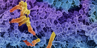 I risultati dell’analisi integrata EMA/ECDC/EFSA sul consumo di antimicrobici
