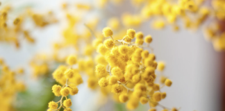 L’8 marzo del Gruppo Tecniche Nuove