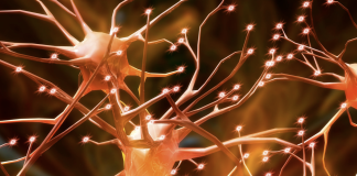 Nuovi nanogel per la somministrazione mirata di antinfiammatori alle cellule gliali