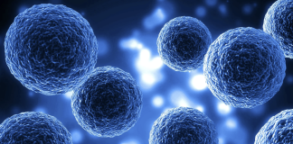 Dalla ricerca IEO e UniMI una nuova via di trasmissione di segnali molecolari intracellulari