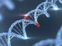Da uno studio IIT-EMBL nuove molecole per modulare l’espressione dei geni