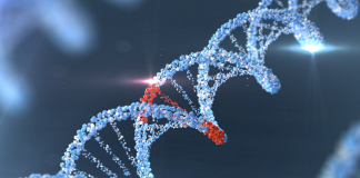 Da uno studio IIT-EMBL nuove molecole per modulare l’espressione dei geni