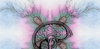 Nuova mutazione genetica con possibile ruolo nello sviluppo del Parkinson