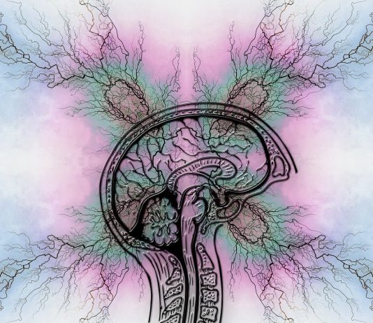 Nuova mutazione genetica con possibile ruolo nello sviluppo del Parkinson