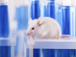 Pubblicati in G.U. gli ultimi dati sulla sperimentazione animale