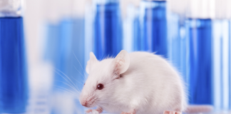 Pubblicati in G.U. gli ultimi dati sulla sperimentazione animale