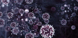 Nuova collaborazione per il monitoraggio del carcinoma mammario in fase iniziale