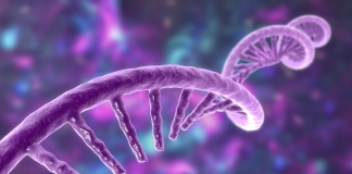 Patisiran: la rivoluzione degli siRNA nella lotta contro l’amiloidosi ereditaria