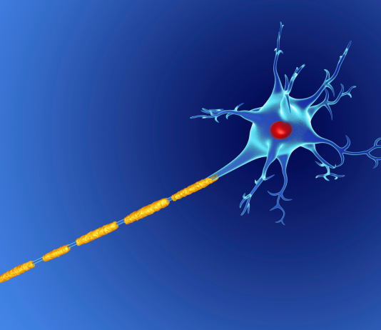 Ublituximab, ora rimborsato in Italia per il trattamento della sclerosi multipla