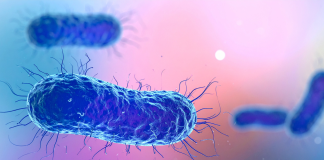 MedTech Europe chiama all’azione contro la resistenza antimicrobica