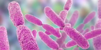 Klebsiella pneumoniae, pubblicato su Nature uno studio della Fondazione Toscana Life Sciences