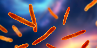 Giornata europea degli antibiotici, necessarie azioni più incisive e rapide contro l’AMR