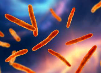 Giornata europea degli antibiotici, necessarie azioni più incisive e rapide contro l’AMR