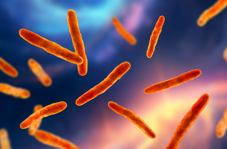 Giornata europea degli antibiotici, necessarie azioni più incisive e rapide contro l’AMR