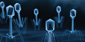 EMA, bozza di linea guida sugli aspetti di qualità dei prodotti per terapia fagica