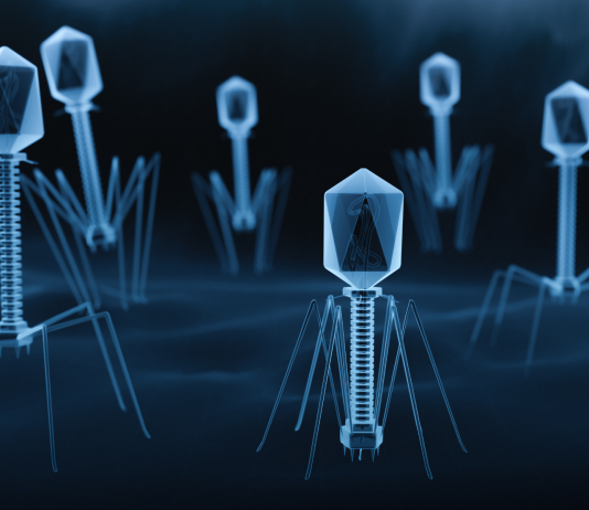 EMA, bozza di linea guida sugli aspetti di qualità dei prodotti per terapia fagica