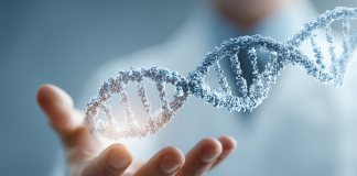 EuropaBio, un position paper sul ruolo delle biotecnologie nell’economia circolare