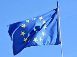 Pubblicata la valutazione ad interim del programma europeo EU4HEalth