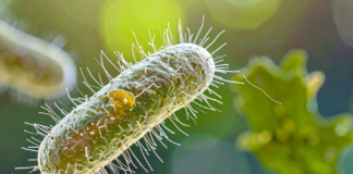 AMR, oltre 100 i progetti presentati per il Bando AIFA 2025