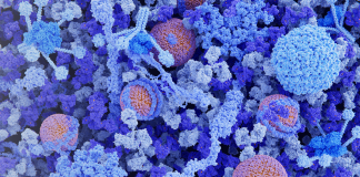 Le sfide nello sviluppo delle immunoglobuline