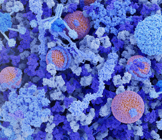 Le sfide nello sviluppo delle immunoglobuline