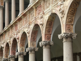 Struttura tridimensionale della proteina NFI-X, uno studio da UNIMI