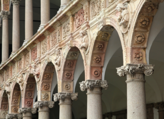 Struttura tridimensionale della proteina NFI-X, uno studio da UNIMI