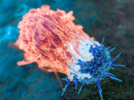 EFPIA, un white paper su come migliorare l’accesso all’oncologia di precisione Oncologia di precisione