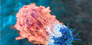 EFPIA, un white paper su come migliorare l’accesso all’oncologia di precisione Oncologia di precisione