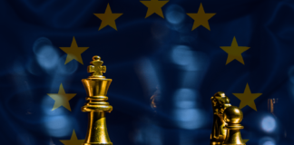 Pubblicato il report finale sulla strategia regolatoria EMANS 2025