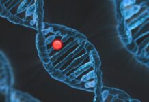 Medicina di precisione, il nuovo dossier AIFA