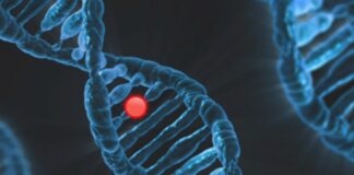 Medicina di precisione, il nuovo dossier AIFA