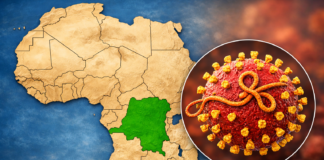 Ebola, il punto dell’Organizzazione Mondiale della Sanità