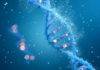 Il Vantaggio biosimilare, a vent’anni dall’approvazione del primo prodotto biotecnologie e Biotech Act