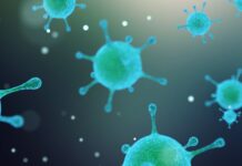 Vaccini universali: la nuova frontiera della prevenzione viene dall’AI