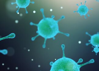 Vaccini universali: la nuova frontiera della prevenzione viene dall’AI